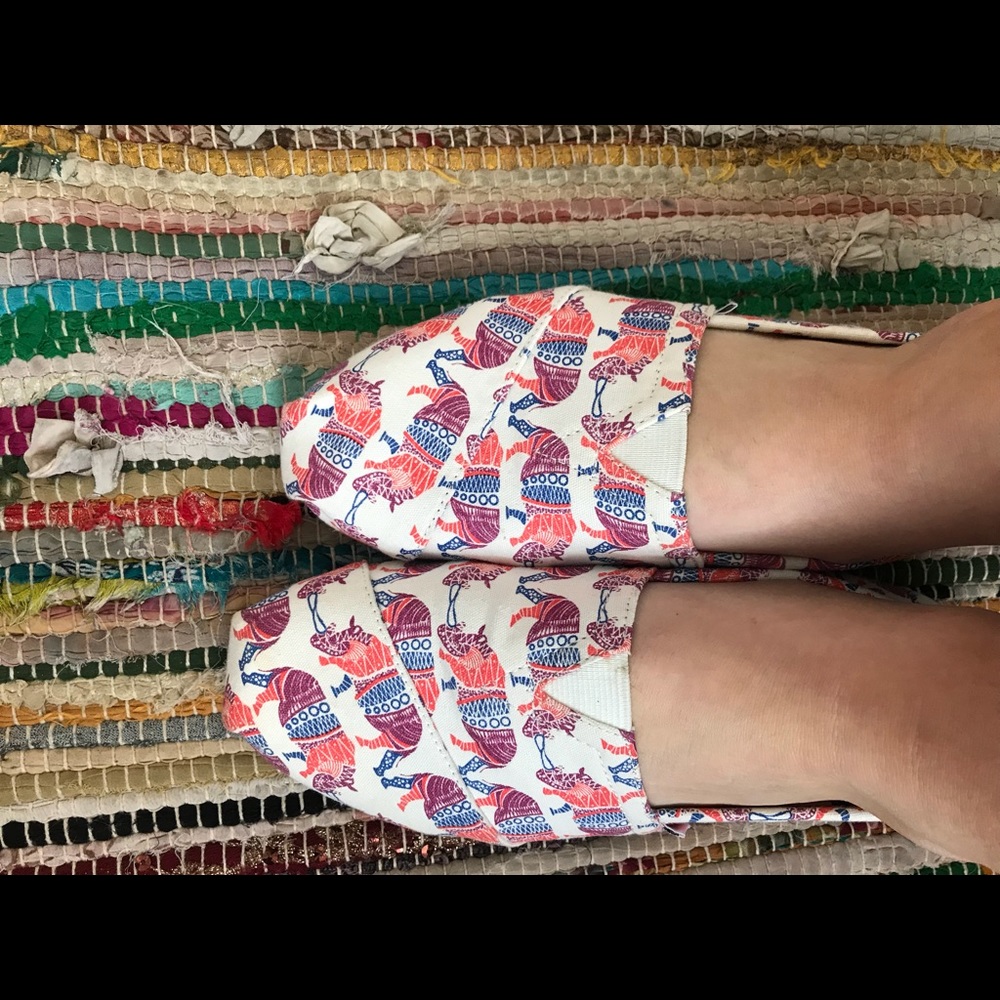 Toms colorful rhino pattern